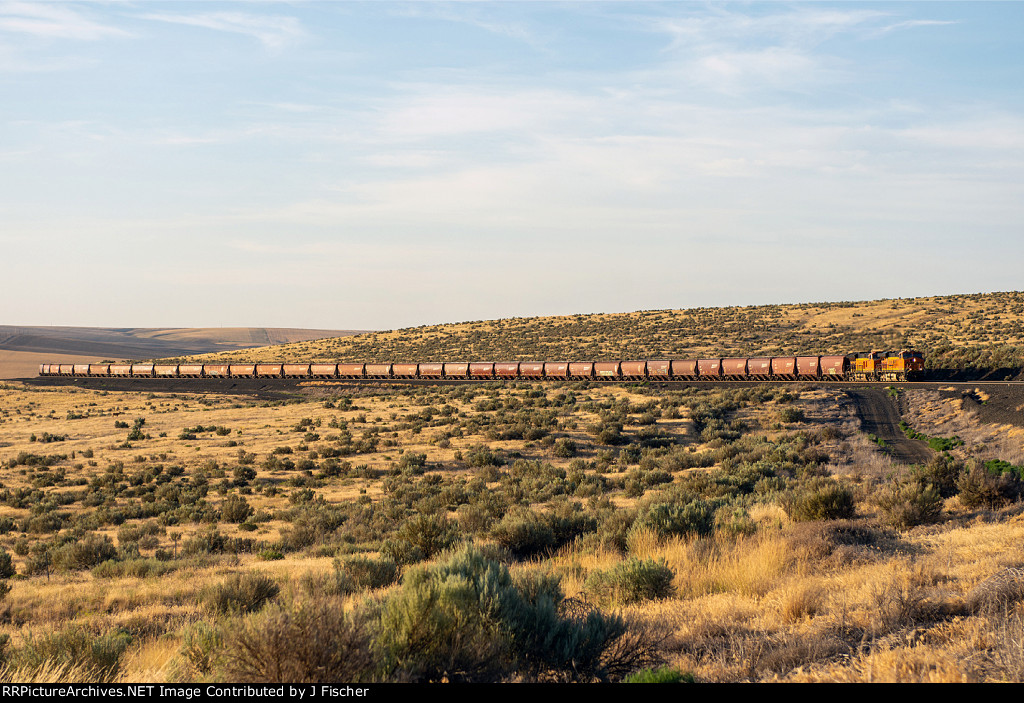 BNSF 7844